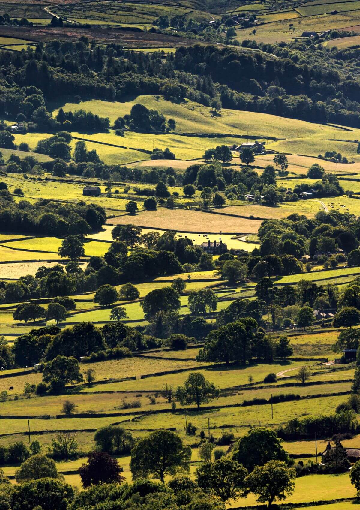 Day trip to Nidderdale from Bradford
