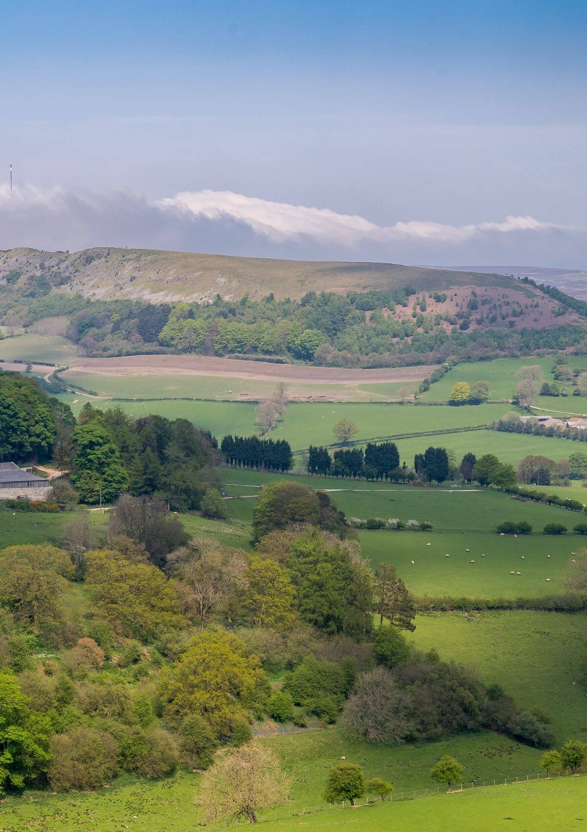Day trip to the North York Moors from Bradford
