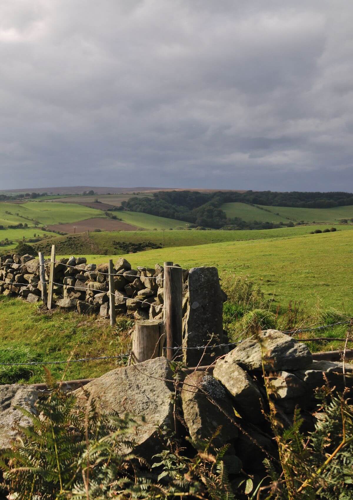 Day out in May in the North York Moors