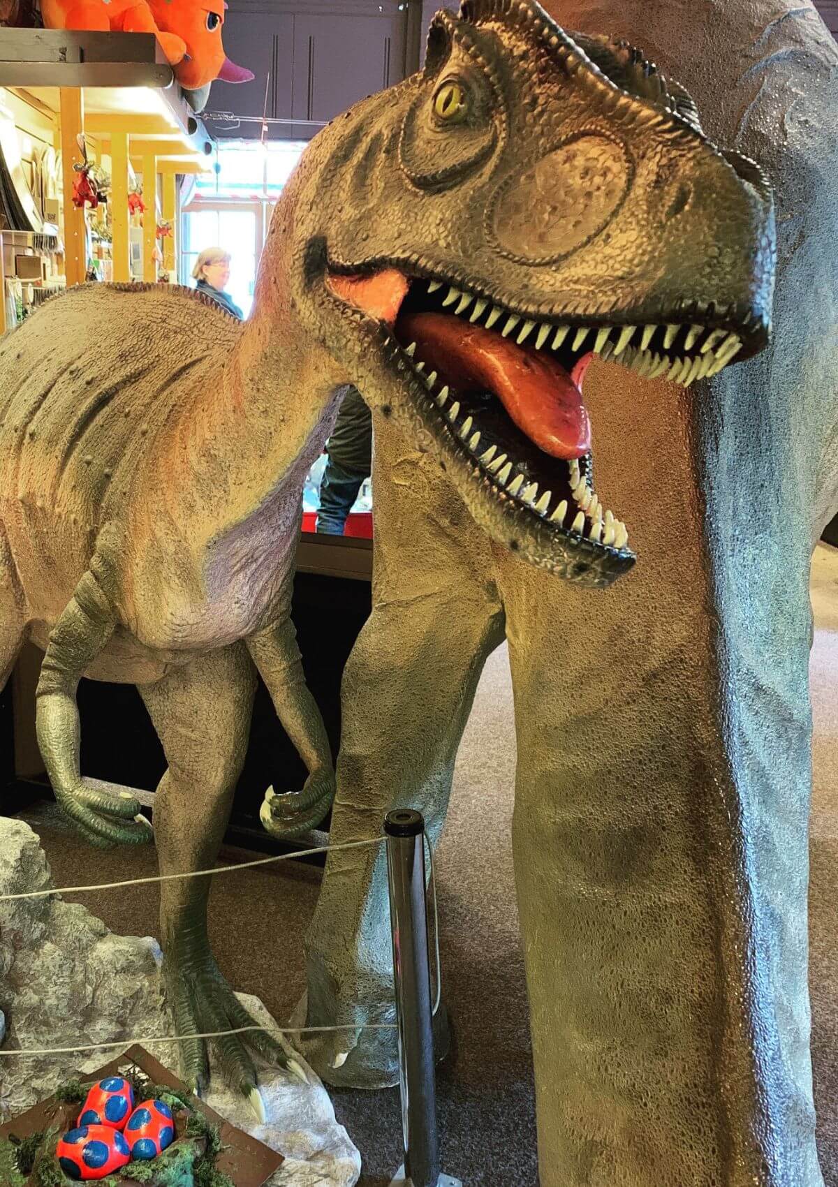 Day out at the The Dinosaur Museum, Dorchester, England