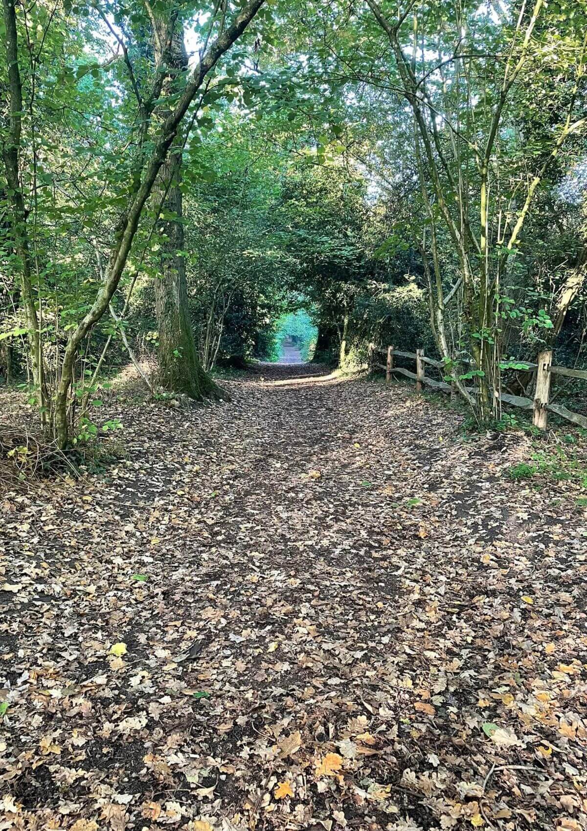 Day out to Worcester Woods Country Park