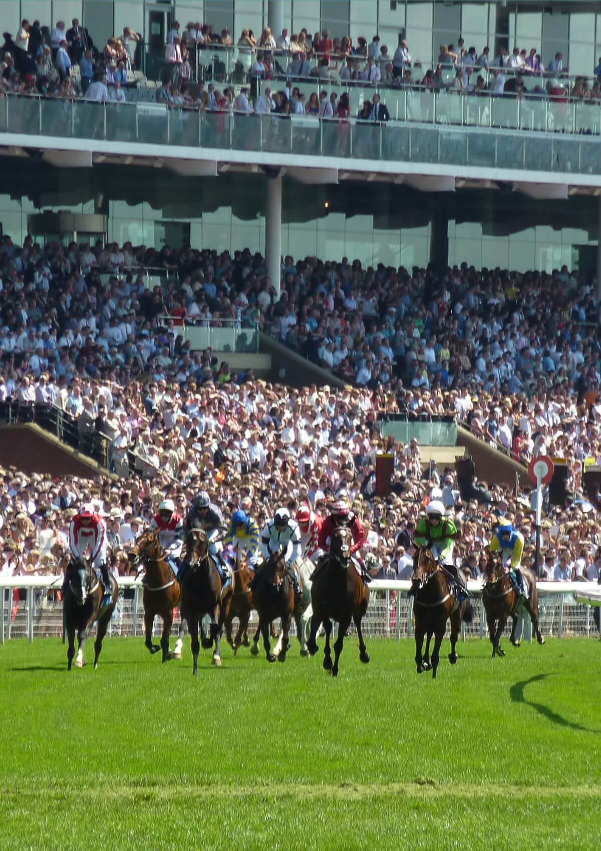 Stag do at the races in England