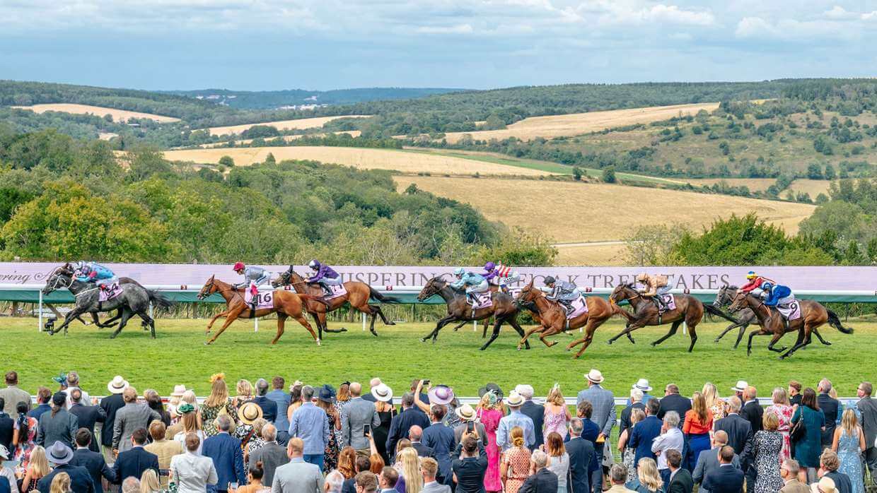 Qatar Glorious Goodwood Festival