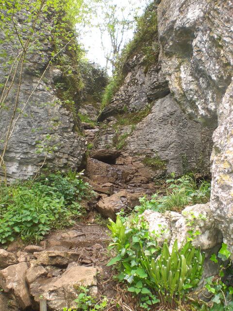 Ebbor Gorge near Wells, Somerset, England