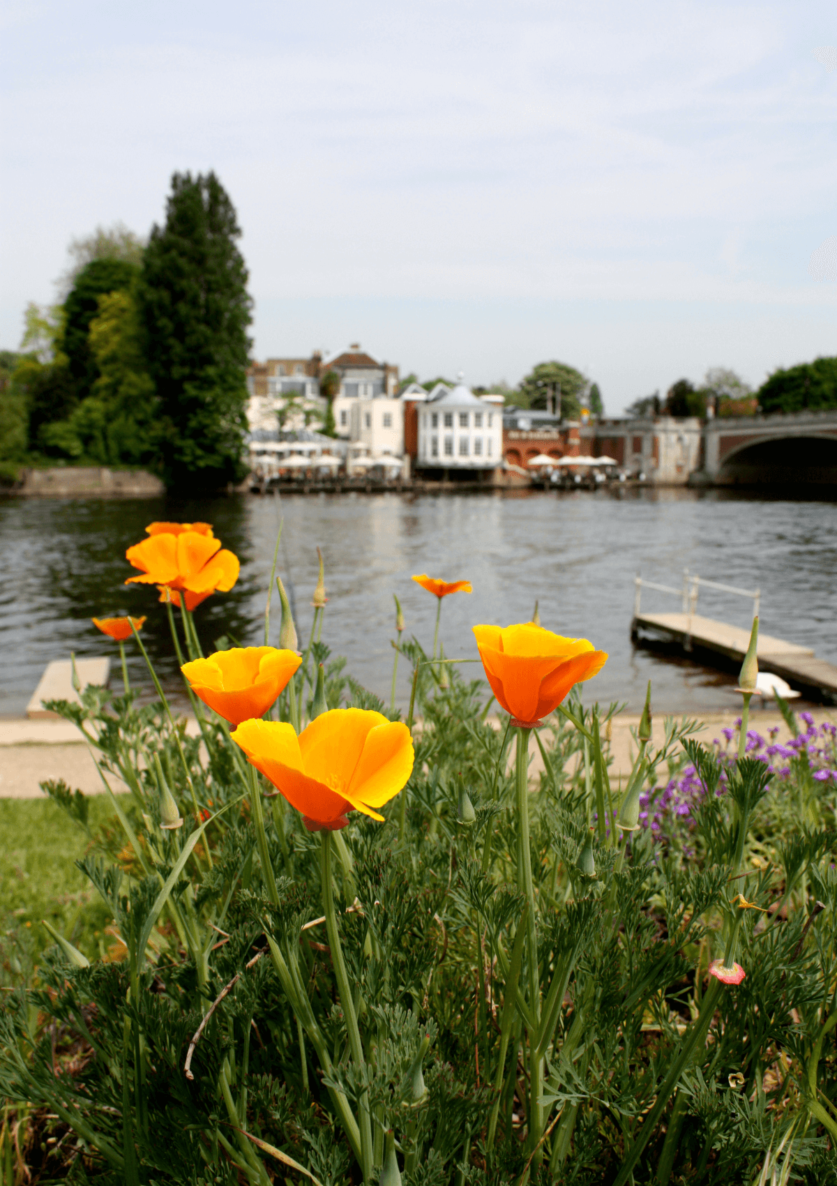 Kingston Barge Walk, London