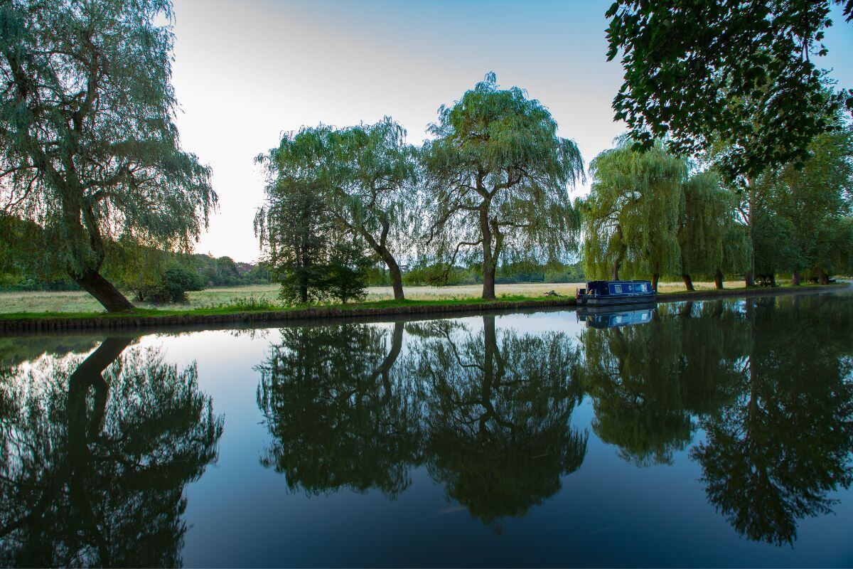 A narrowboat on the River Wey, one of the best spots for barges in England