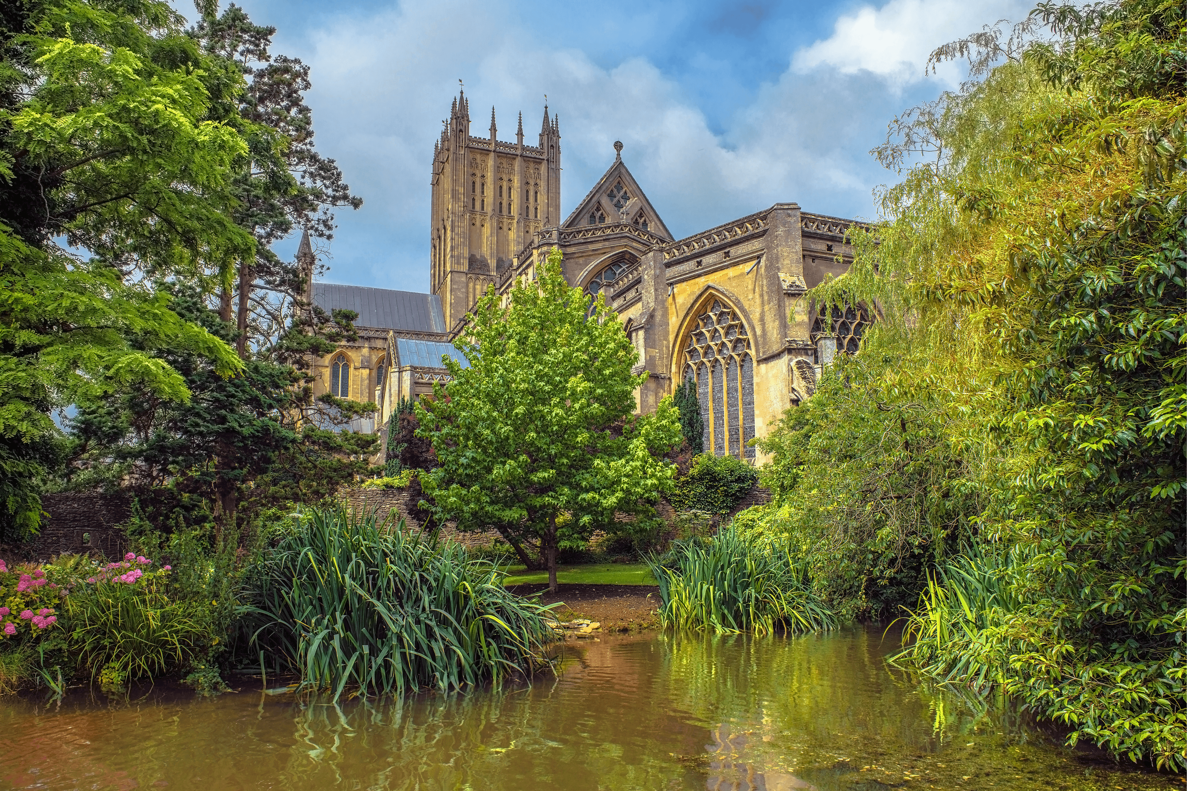 Things to Do in Wells, Wells Cathedral