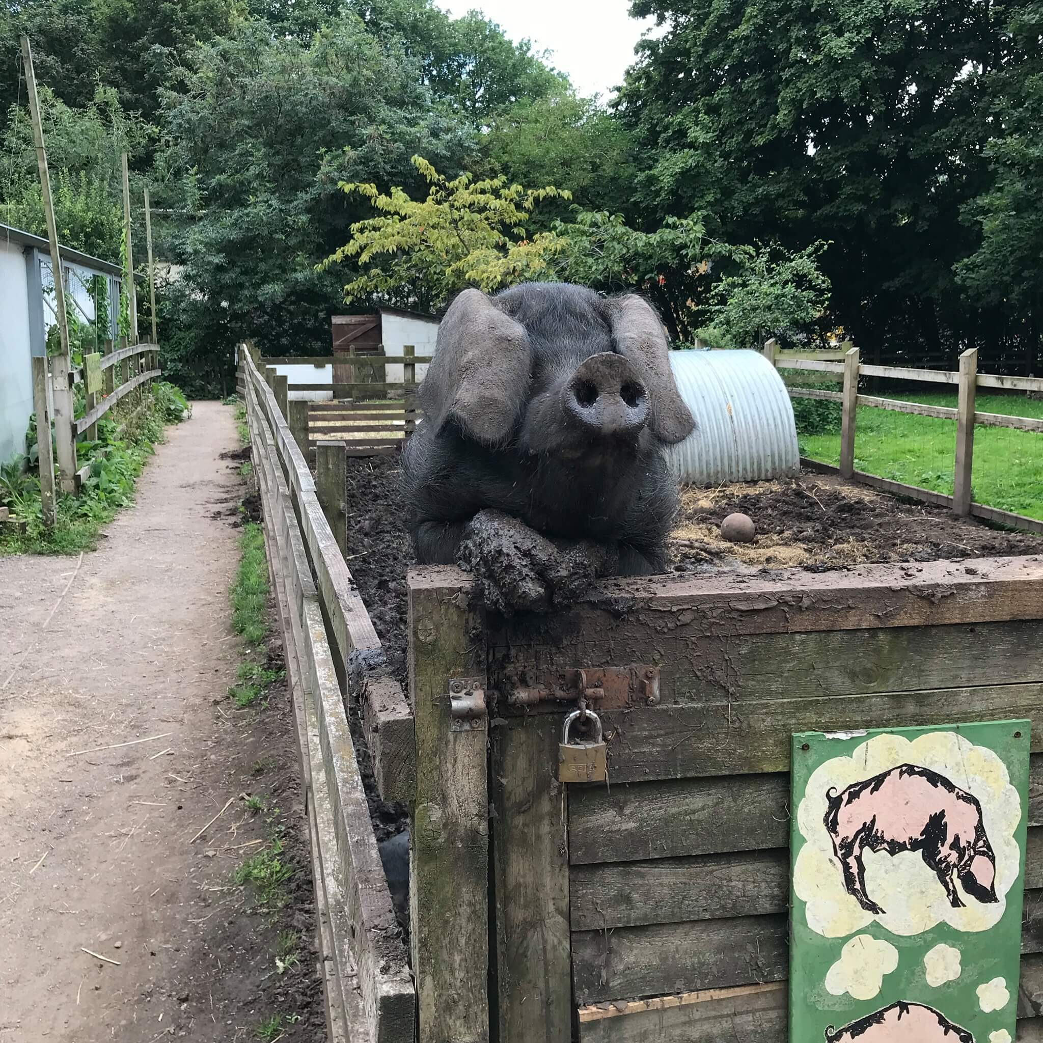 Windmill Hill City Farm, Bristol, England