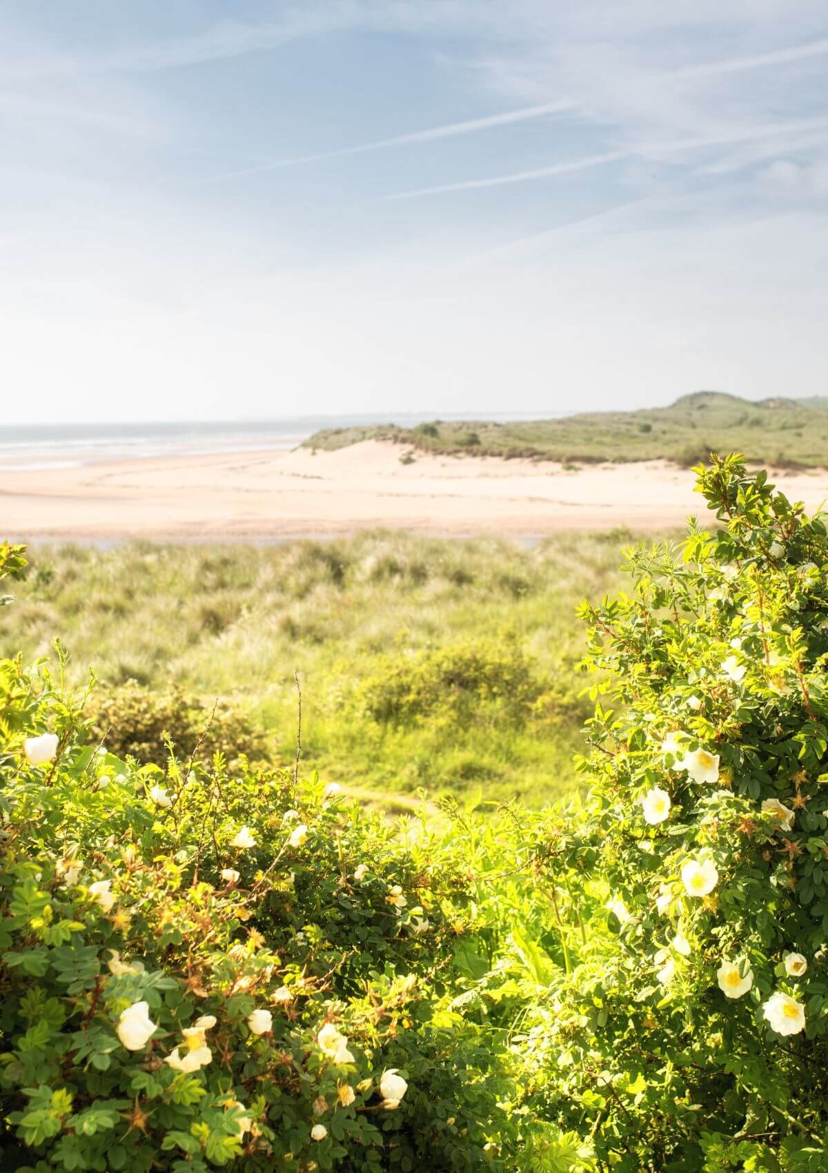 Alnmouth Beach in Northumberland