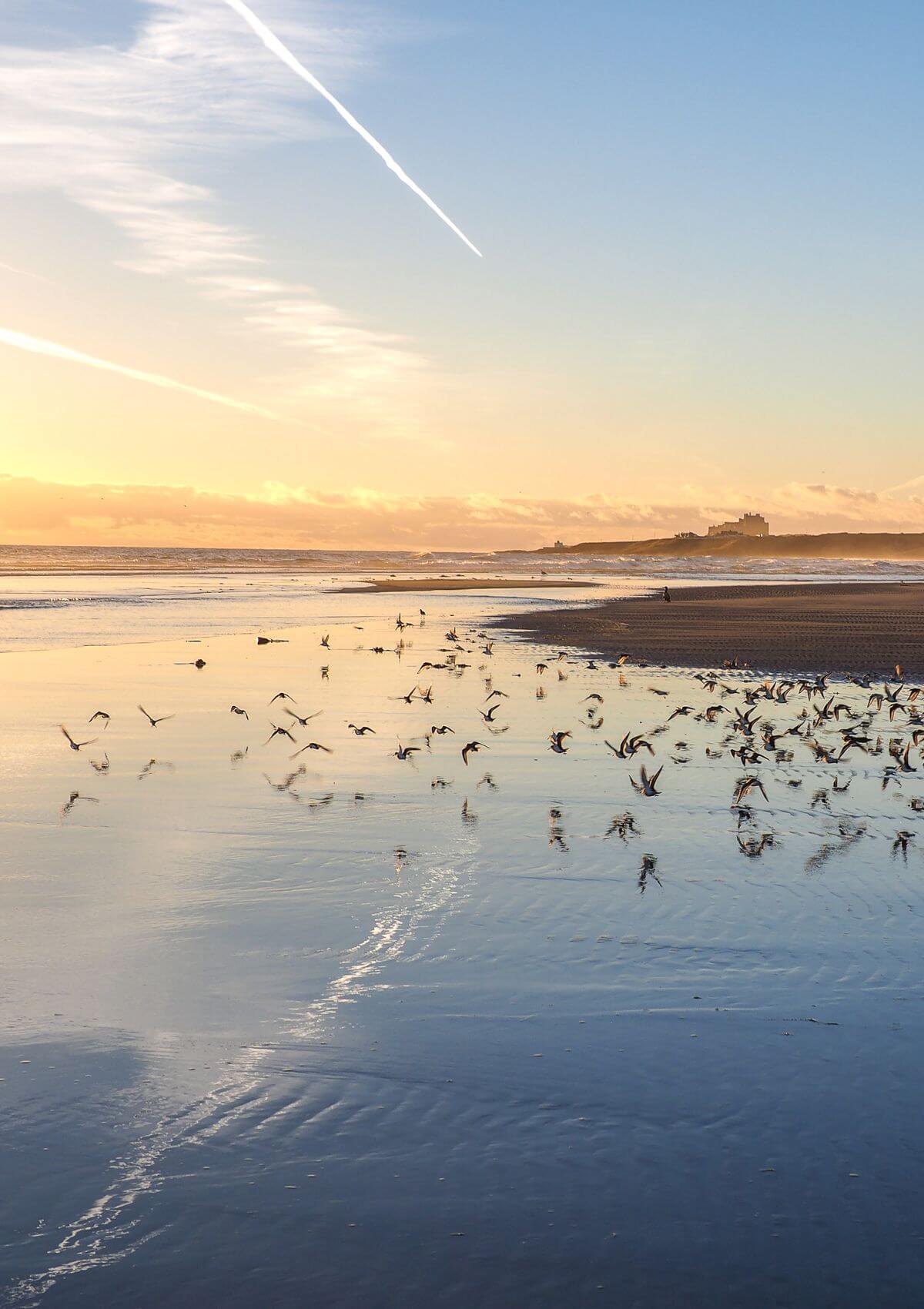 Bamburgh Castle and Farne Islands, Northumberland