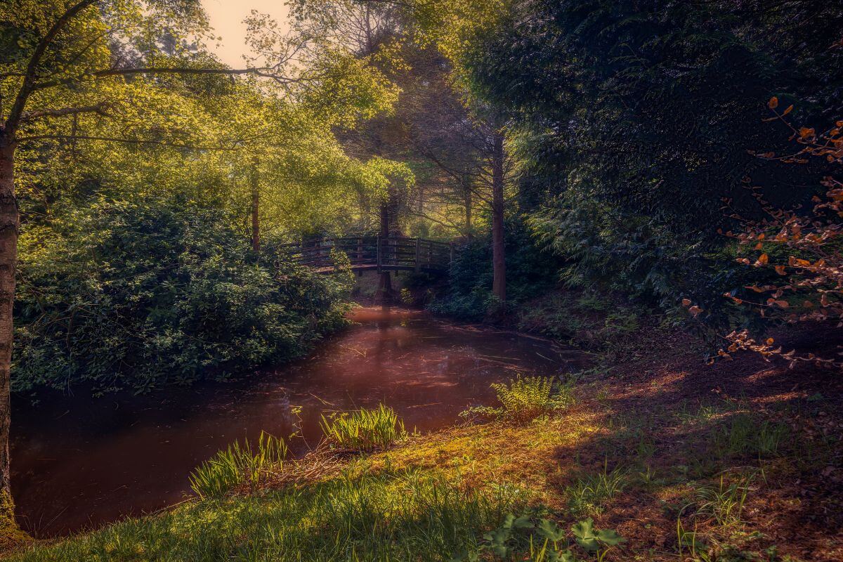 Bodenham Arboretum in England