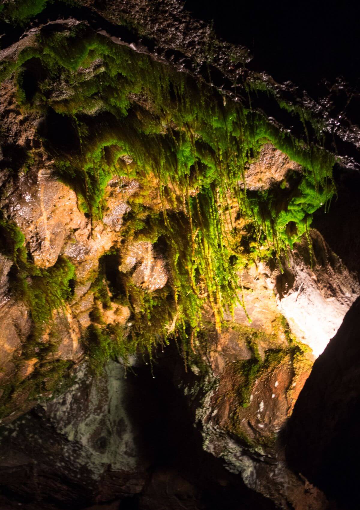 Cheddar Gorge and Caves in England