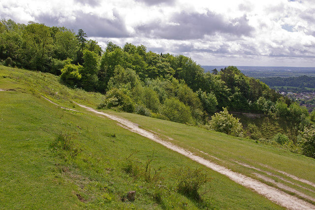 Colley Hill and Reigate Hill, Surrey, England