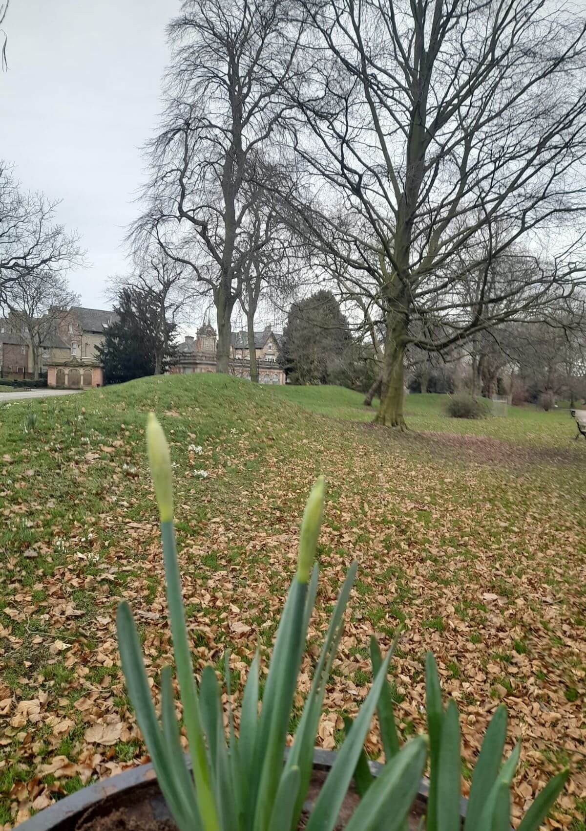 Derby Arboretum