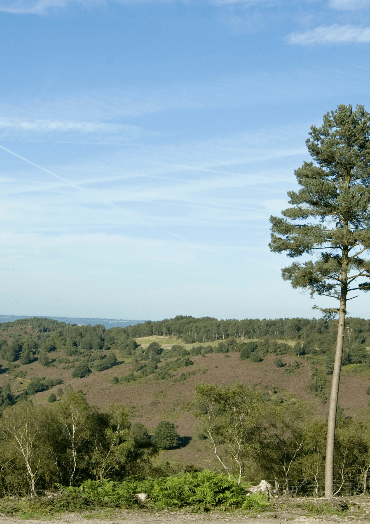 Devil's Punchbowl on the Hidden Hindhead Trail, Surrey, England