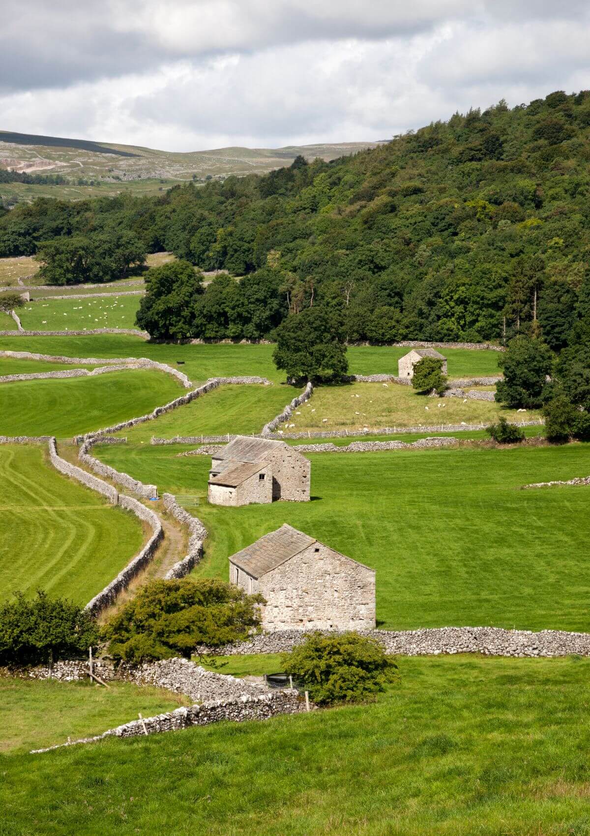 England National Parks in spring