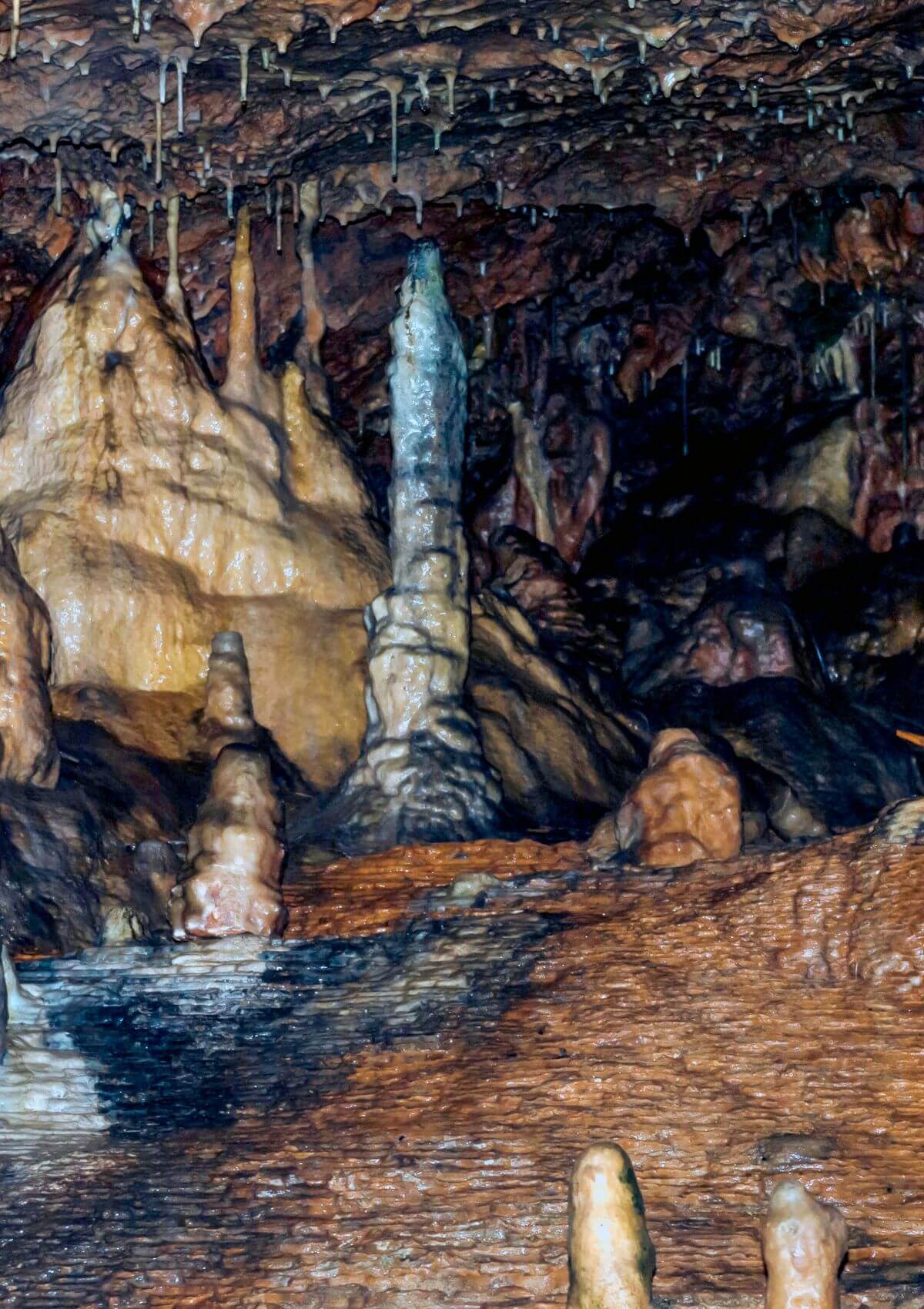 11 Best Caves In England To Discover In 2024 Day Out In England   Kents Cavern Caves In England 