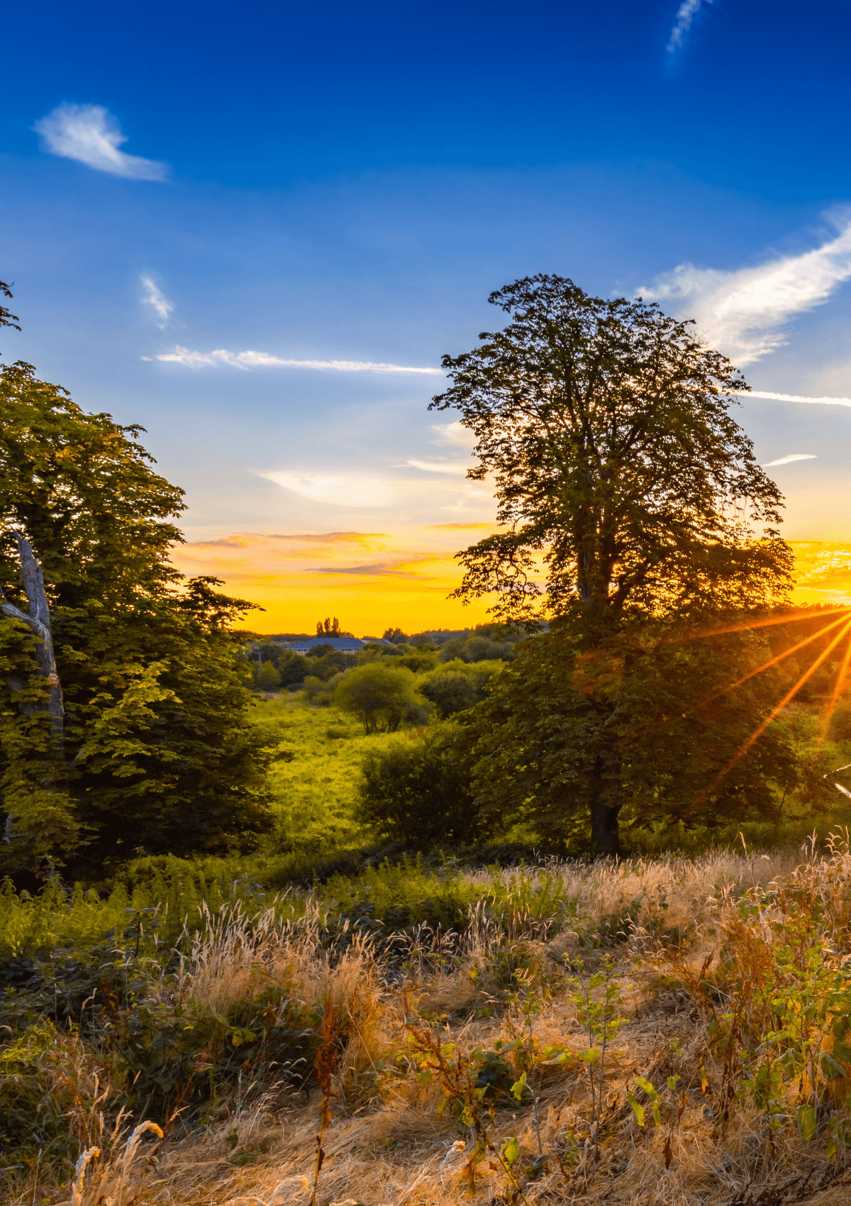 Shalford Three Peaks, Surrey, England