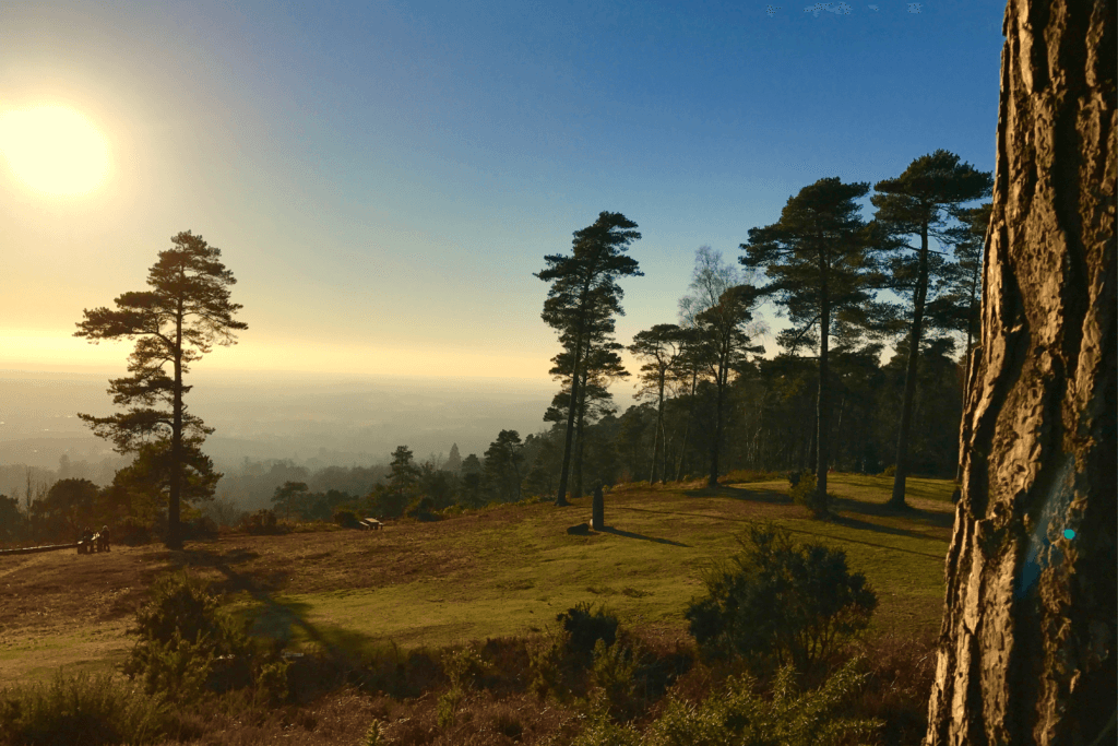 The best Surrey Hills walks