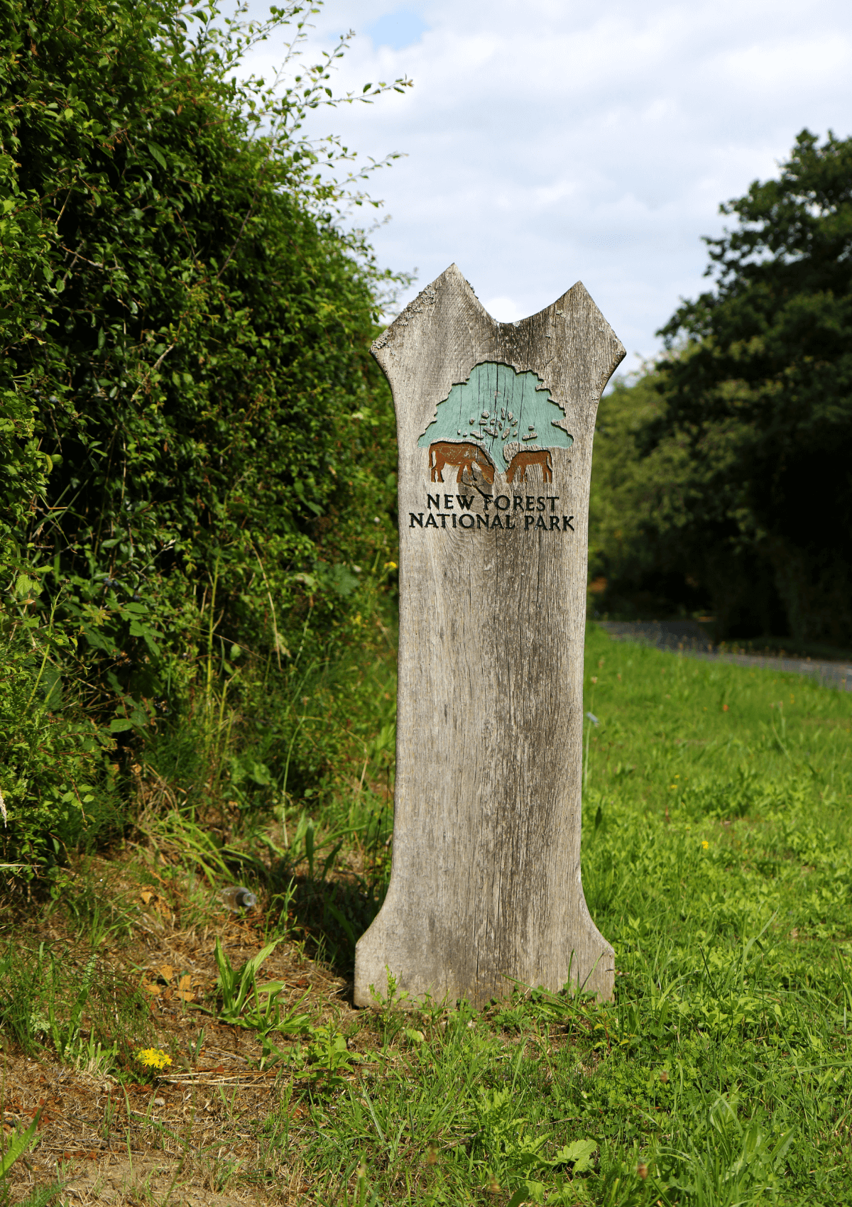 New Forest National Park, England 