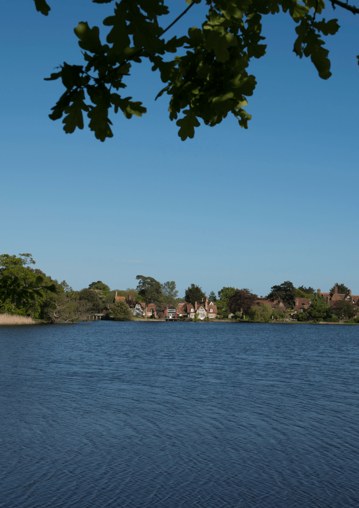 Beaulieu, New Forest, England