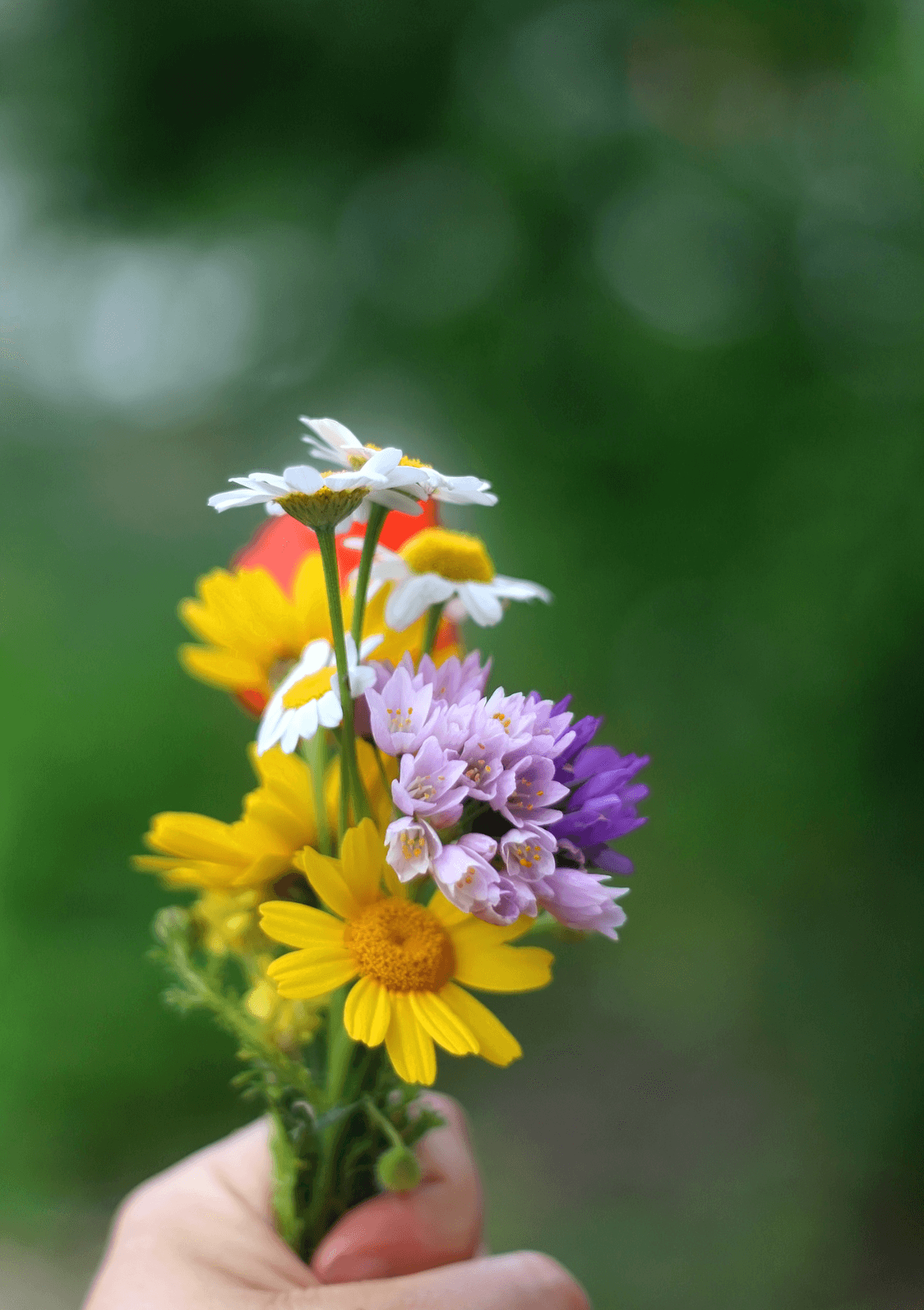 Flower crafts for a free day out in England