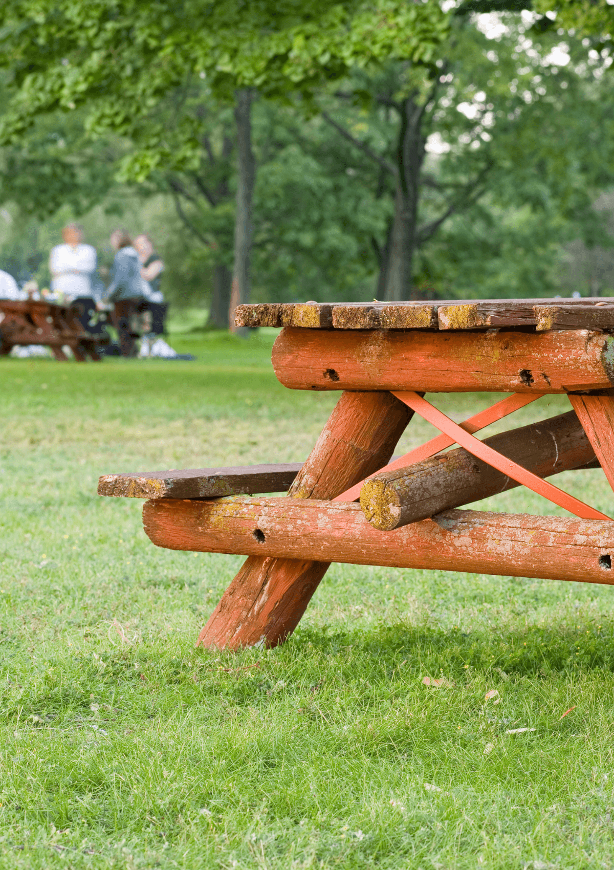 Save money with a picnic 