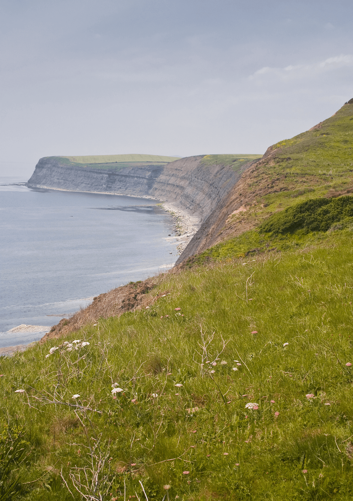 South West Coast Path, England