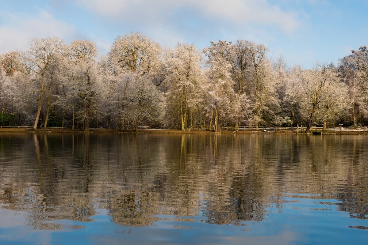 Black Park Lake, Buckinghamshire, England