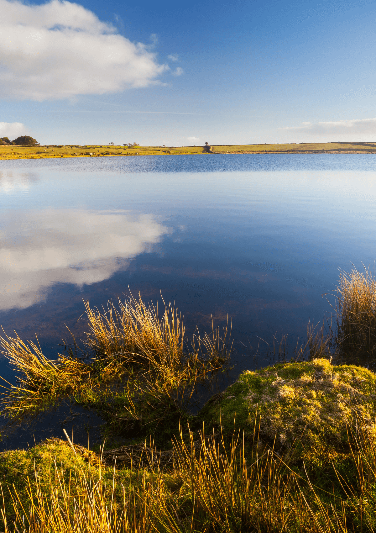 Dozmary Pool, Cornwall, England