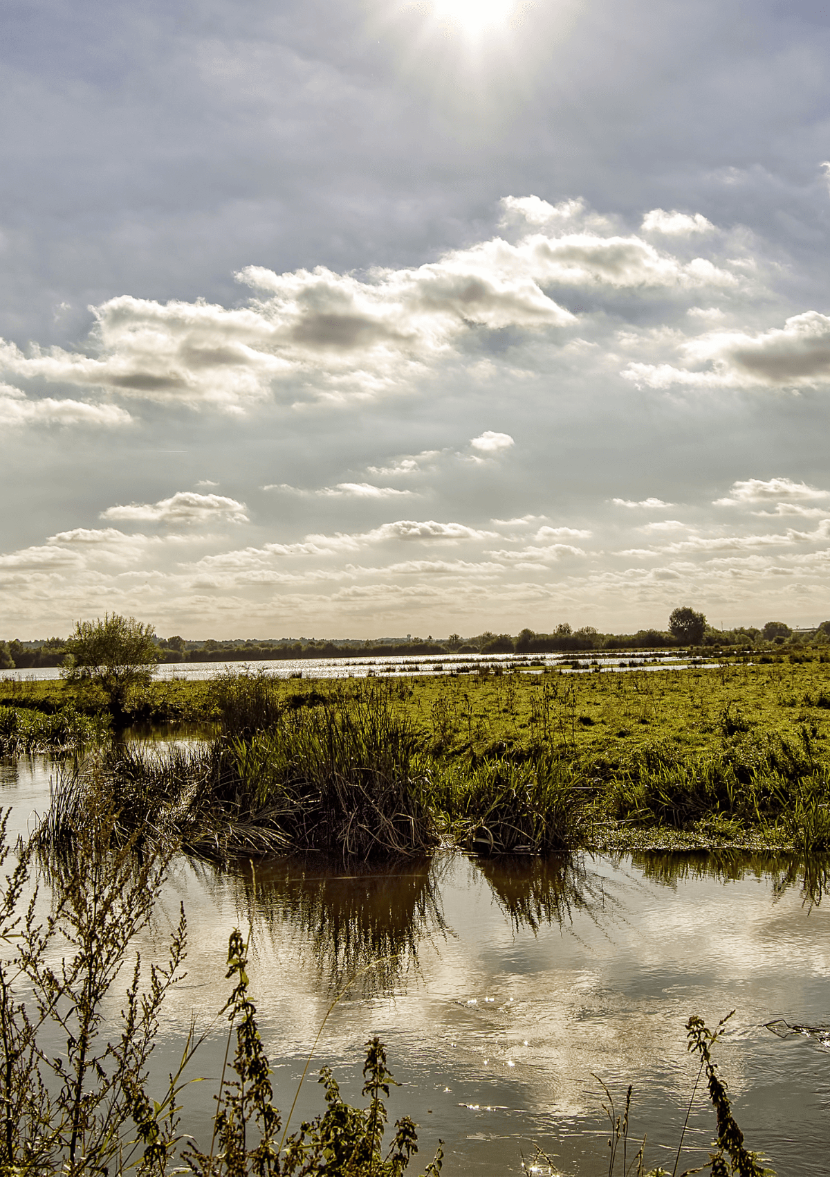 Stanwick Lakes, Northamptonshire, England