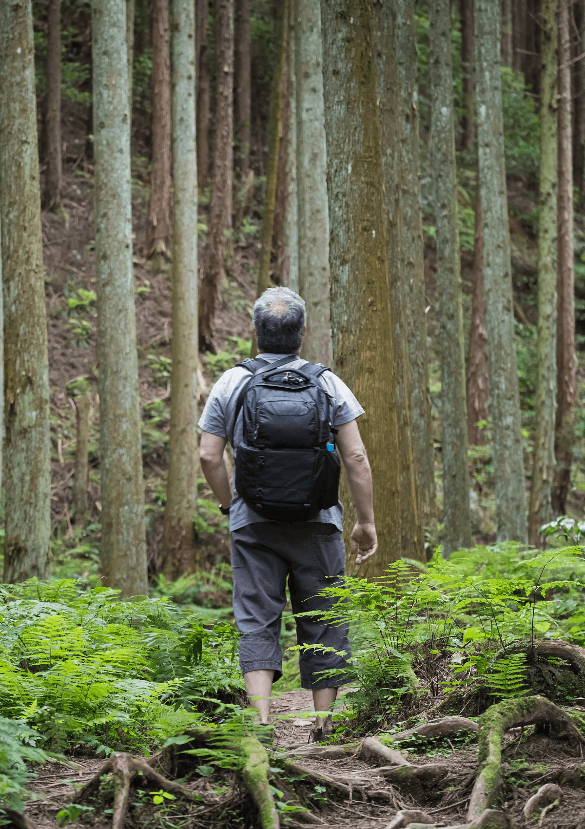 Man goes on a solo hike 