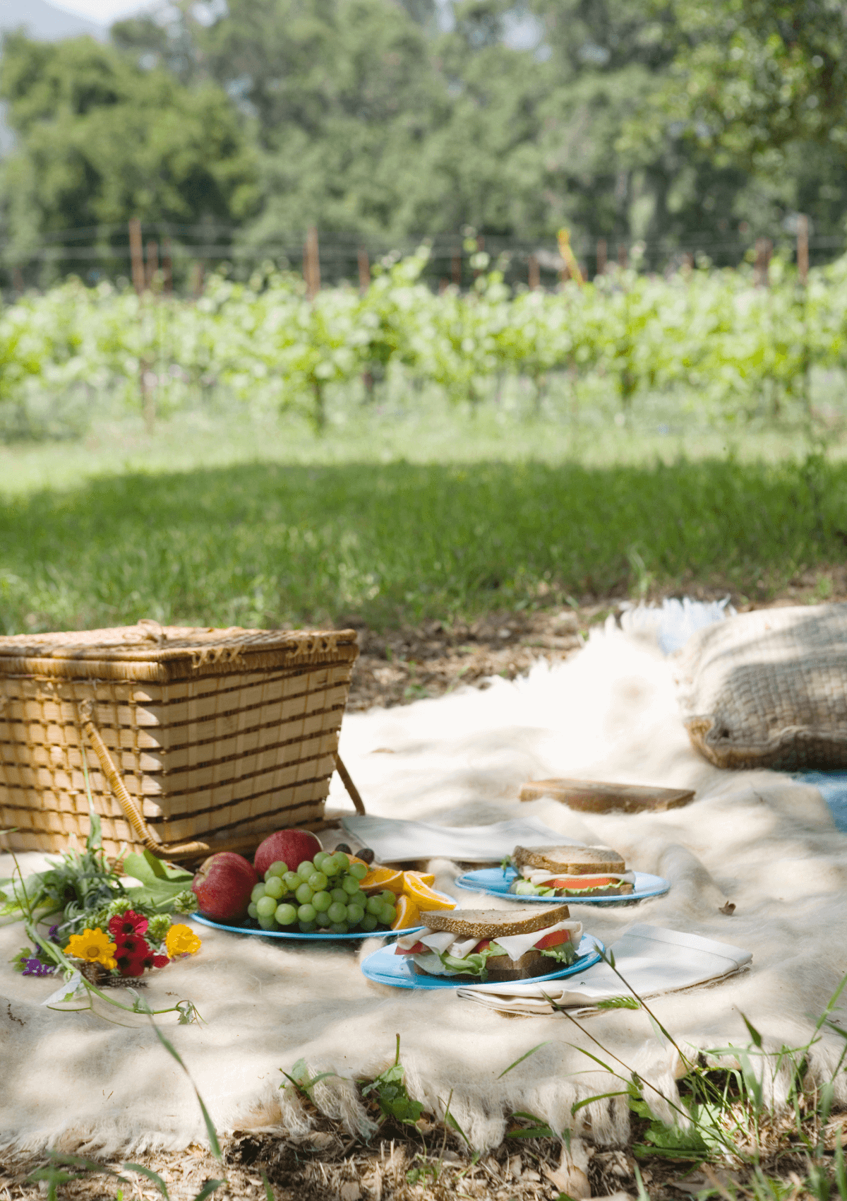 Picnic basket 