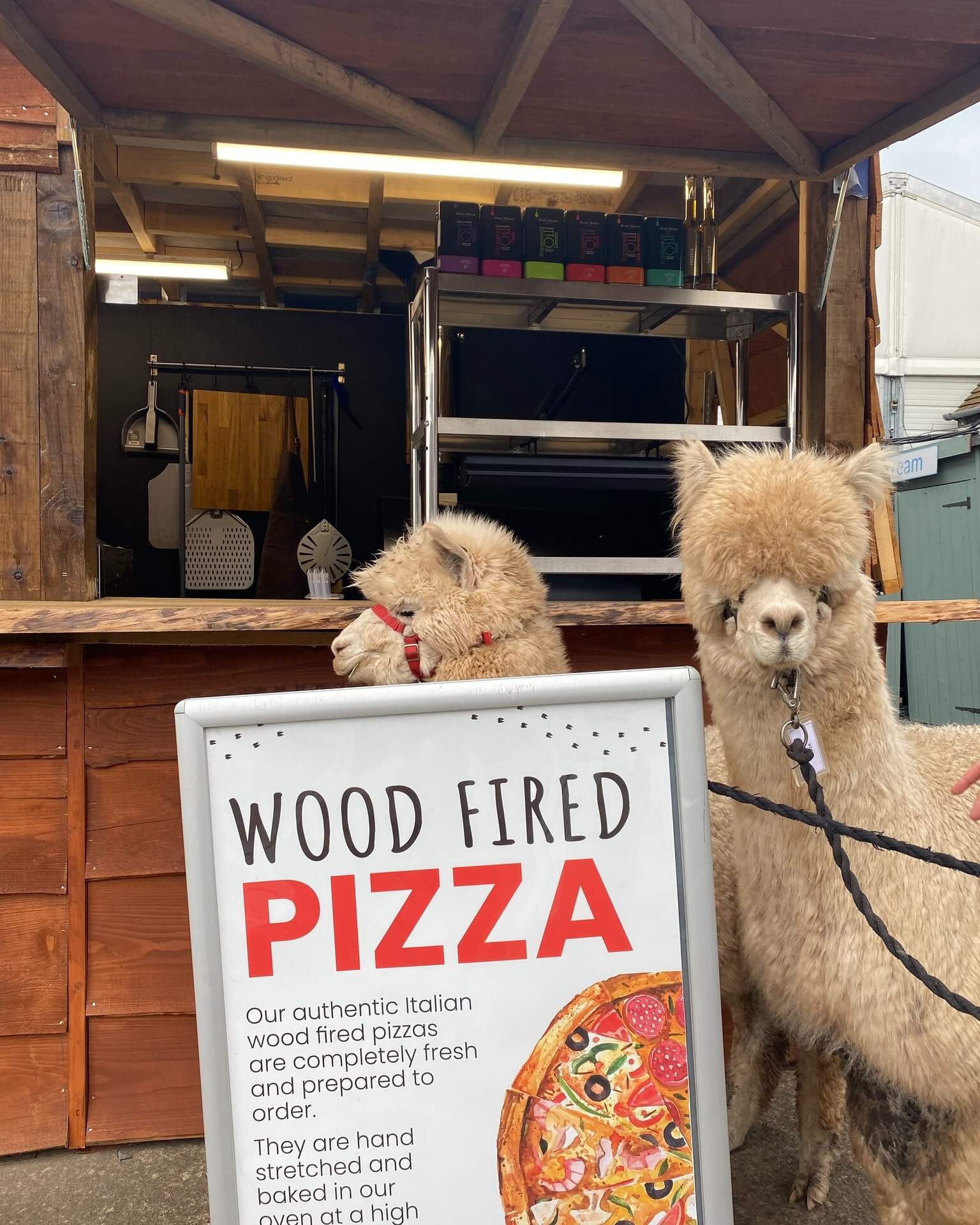 Charnwood Forest Alpacas & The Chilli Bean, England