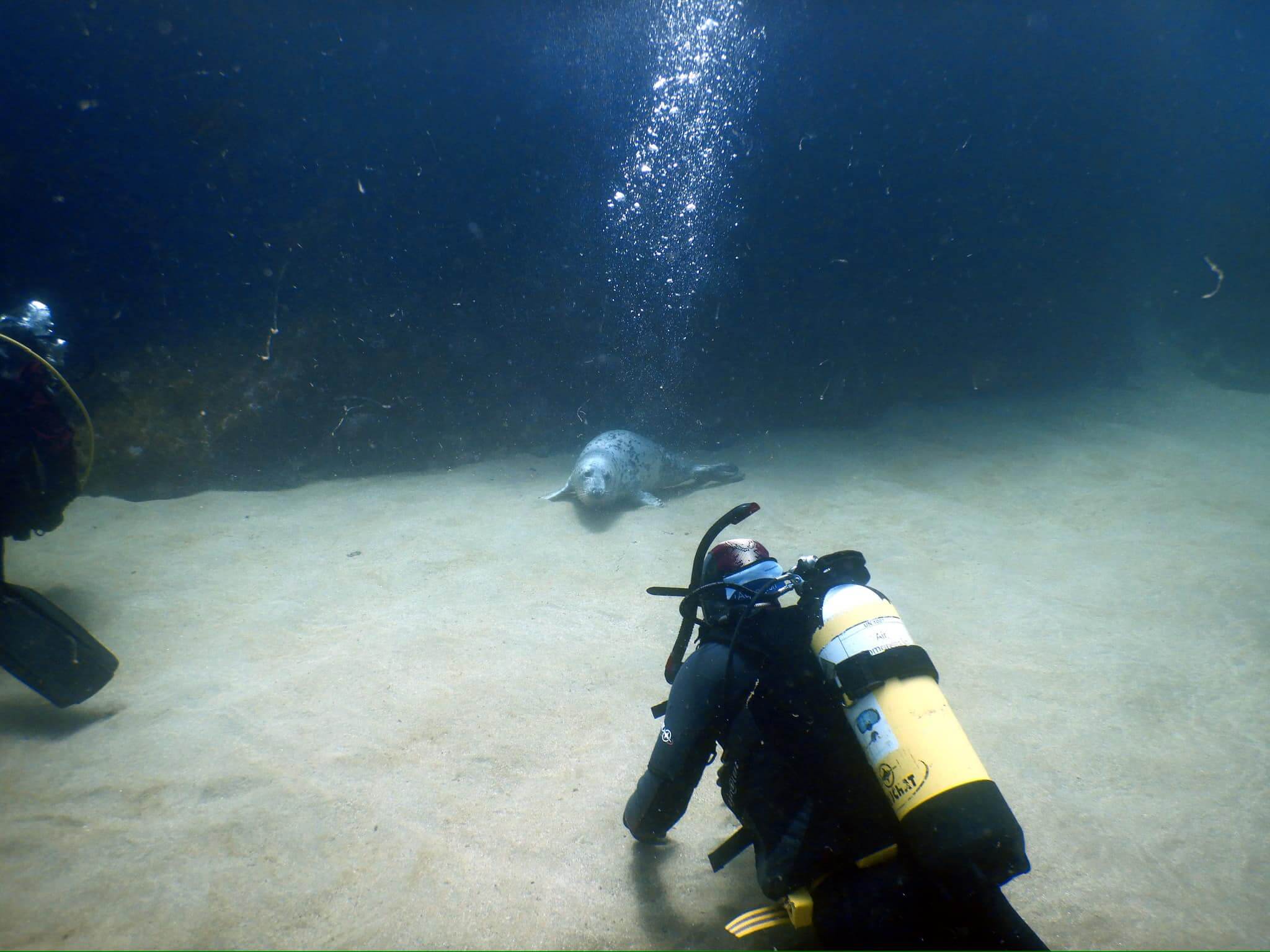 Easy Divers, Lundy Island, Devon, England