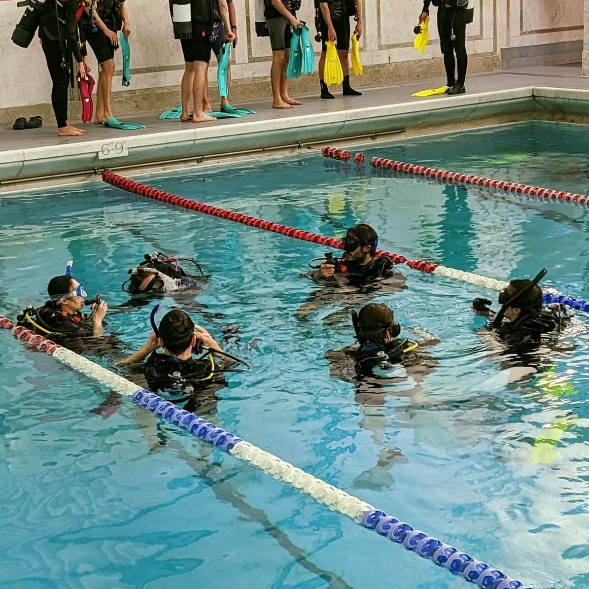 Oyster Diving School London