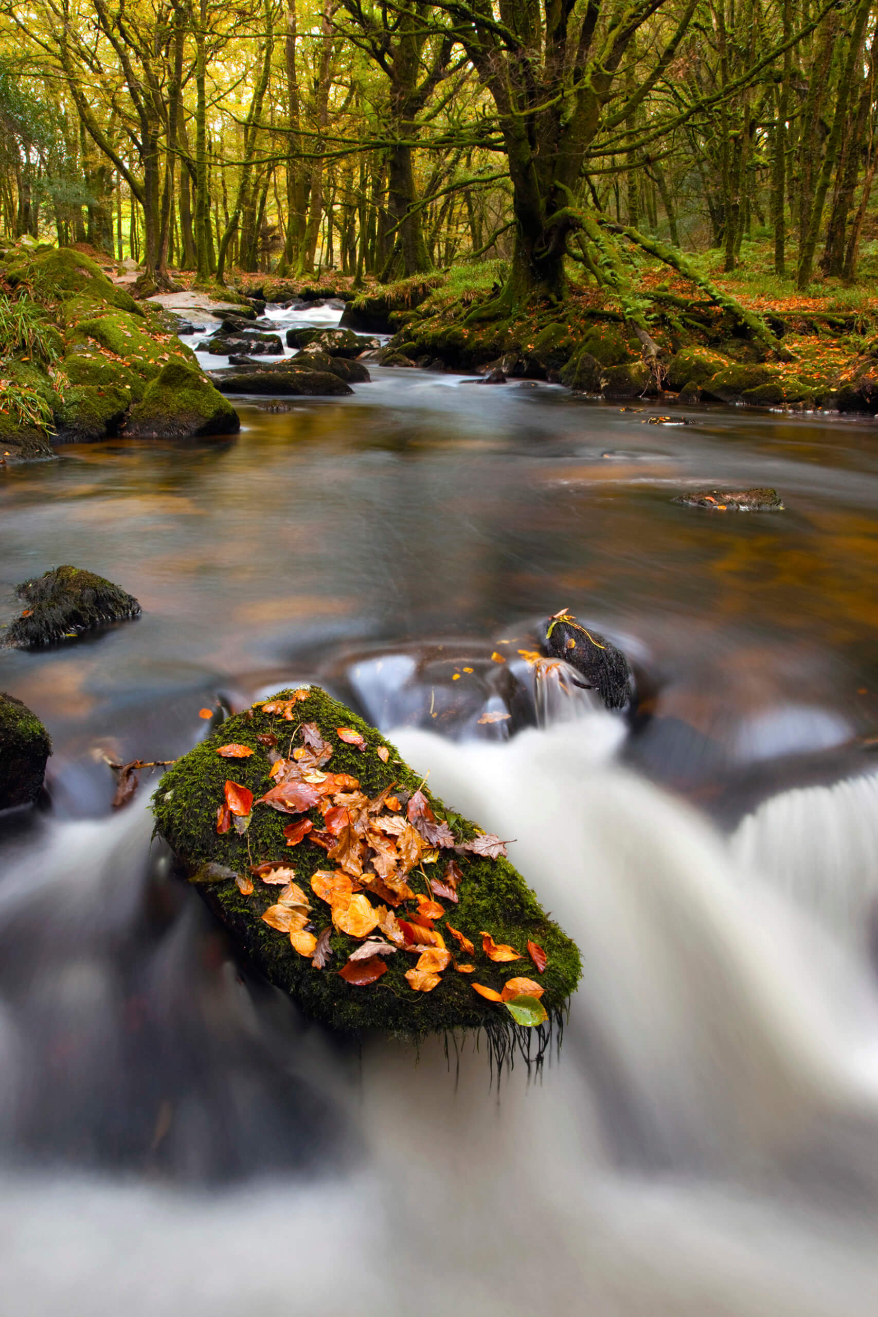 Golitha Falls, Cornwall 