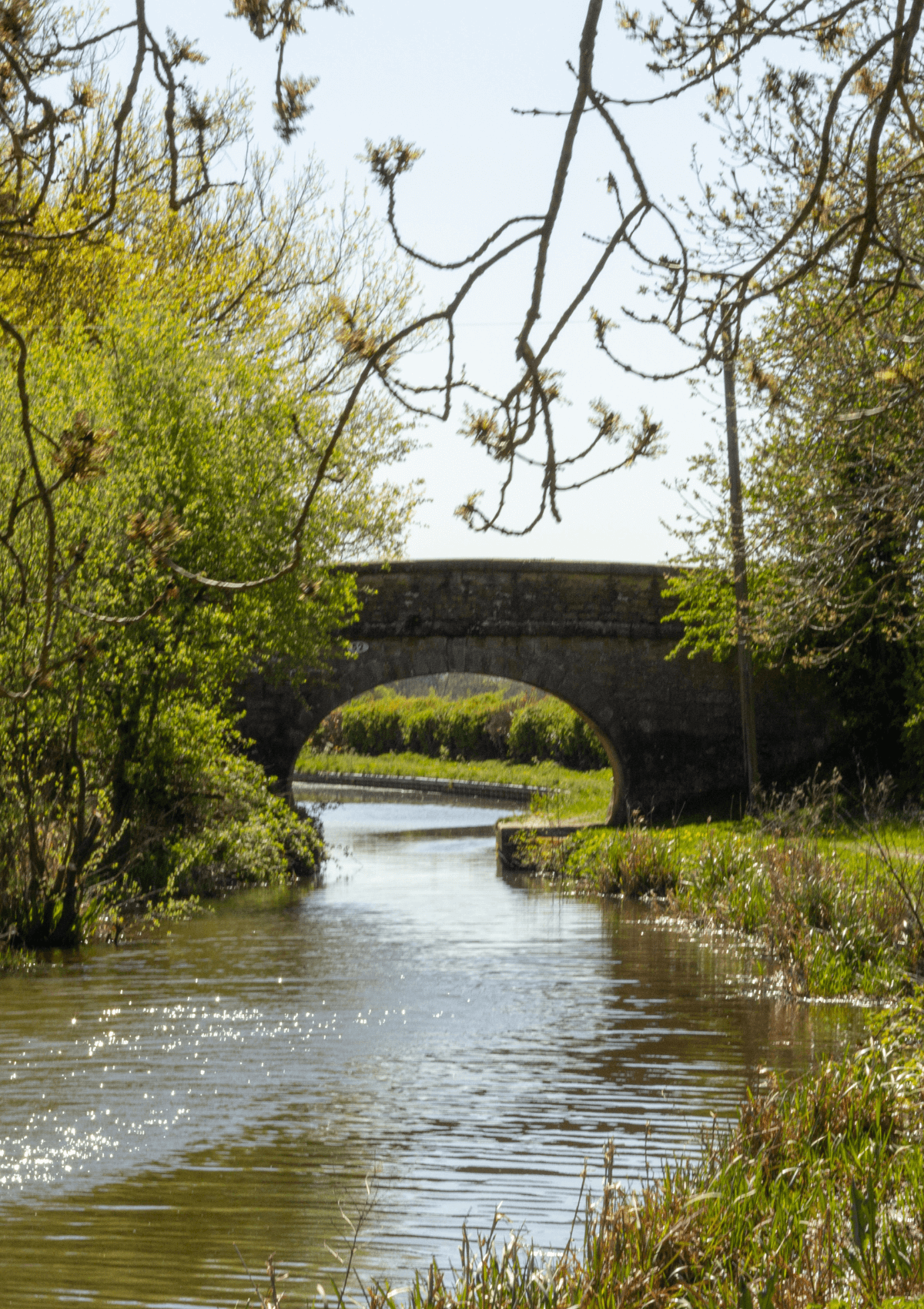 A stretch of Macclesfield Canal, Cheshire, England