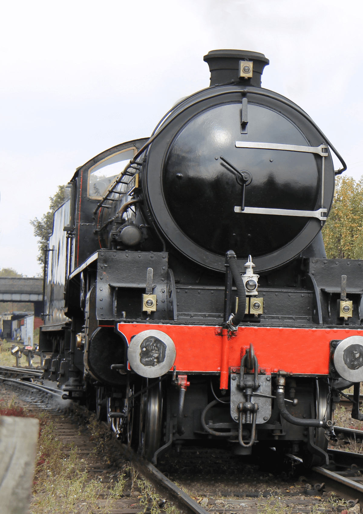 Trains, day out with toddlers 