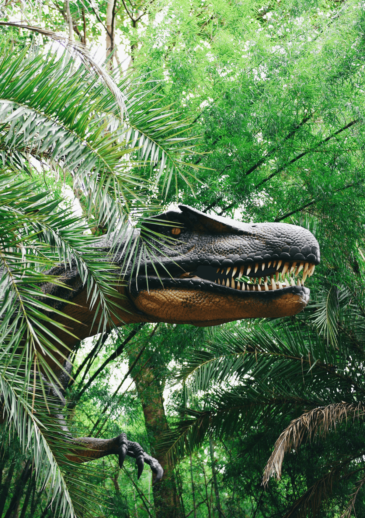 Dinosaur park UK