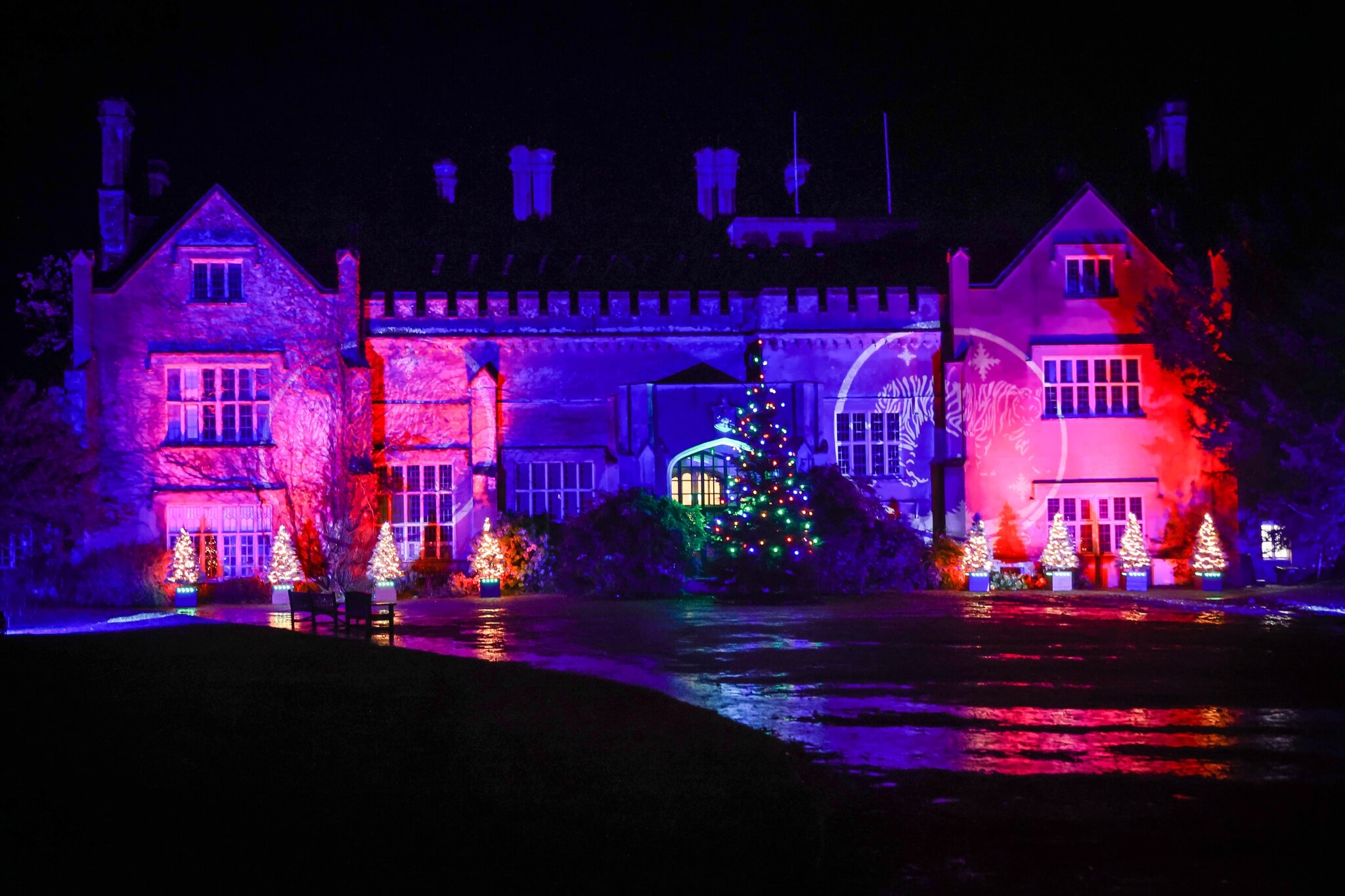 Marwell Zoo at Christmas