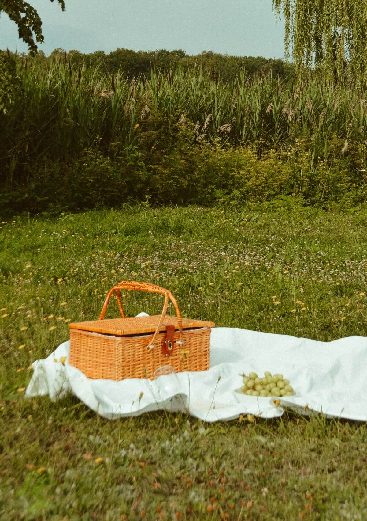 Picnic basket on the grass 
