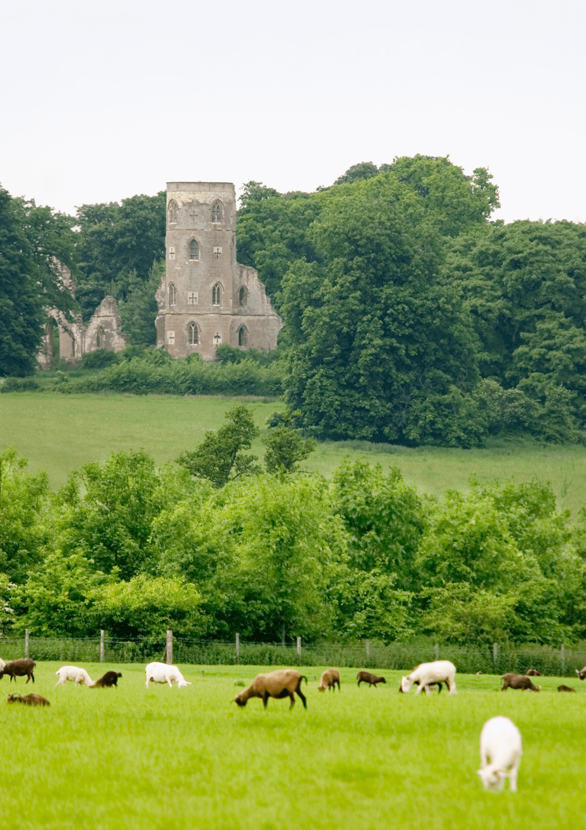 Wimpole Estate, Cambridgeshire, England