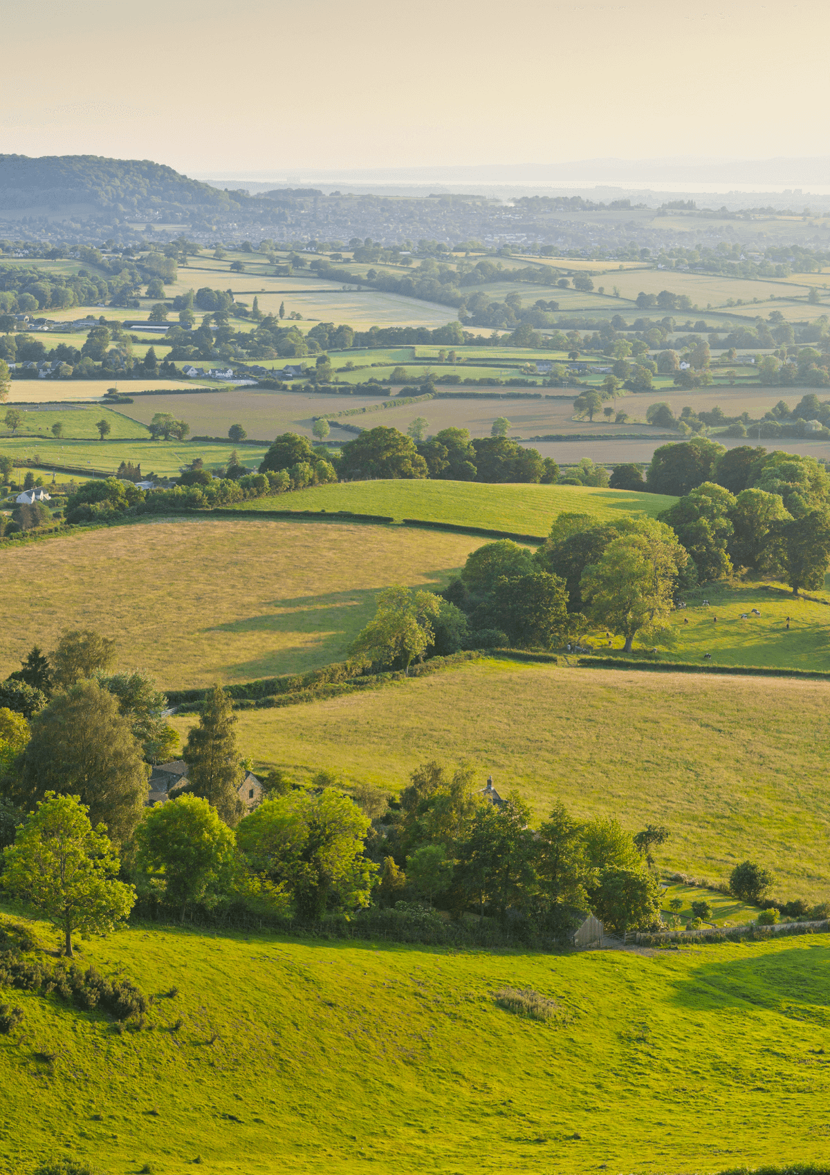 The Cotswolds, England 