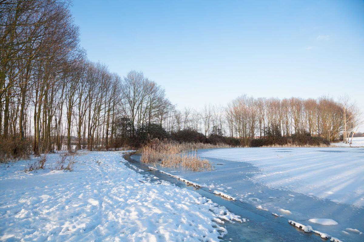 Christmas in Essex