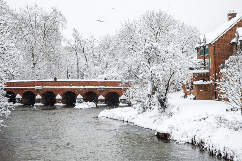 15 Brilliant Days Out for Christmas in Surrey 2023 | Day Out in England