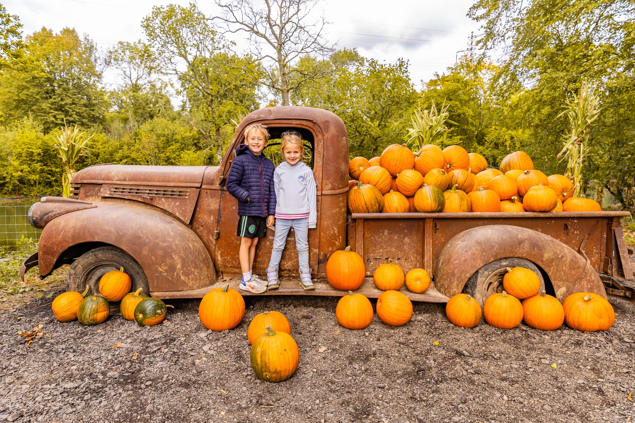 Best Pumpkin Patches in England
